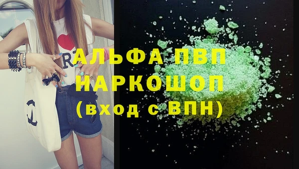 гашик Тайга