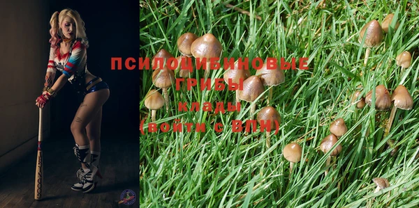 прущий лед Вязники